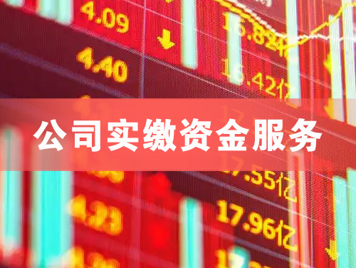 藁城公司实缴资金服务